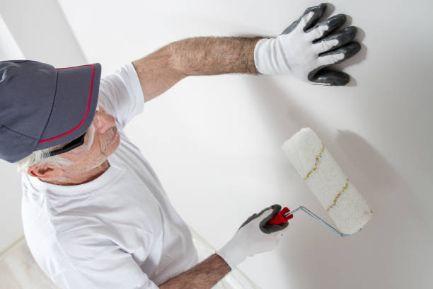 Best Asbestos and Lead Testing During Mold Inspection  in Lansdowne, MD