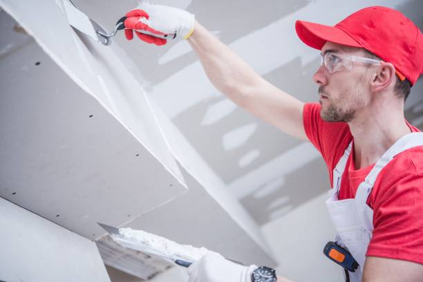 Best Residential Mold Inspection & Testing  in Lansdowne, MD
