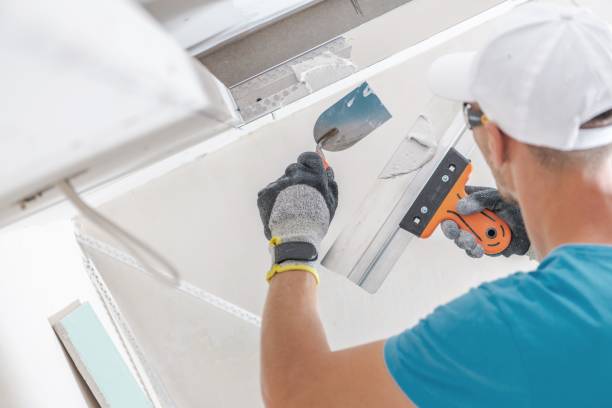 Reliable Lansdowne, MD Mold Removal Solutions